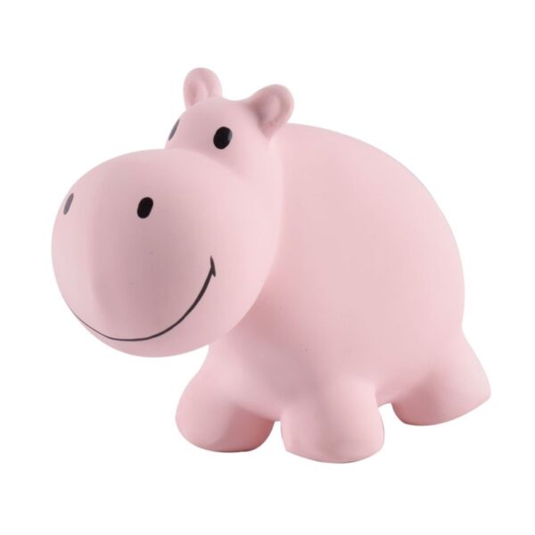 Hippo Rattle & Bath Toy