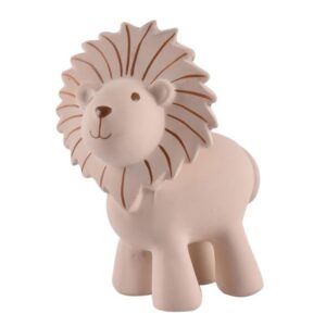 Lion Rattle & Bath Toy