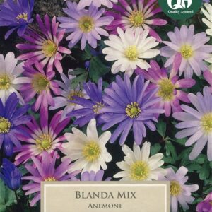 Anemone Blanda Mix 20 Bulbs