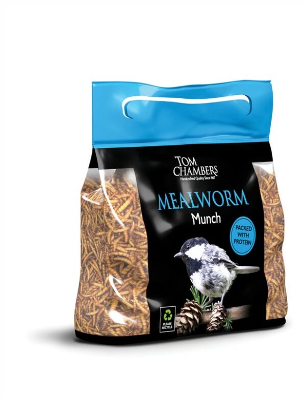 Mealworm Munch 100g