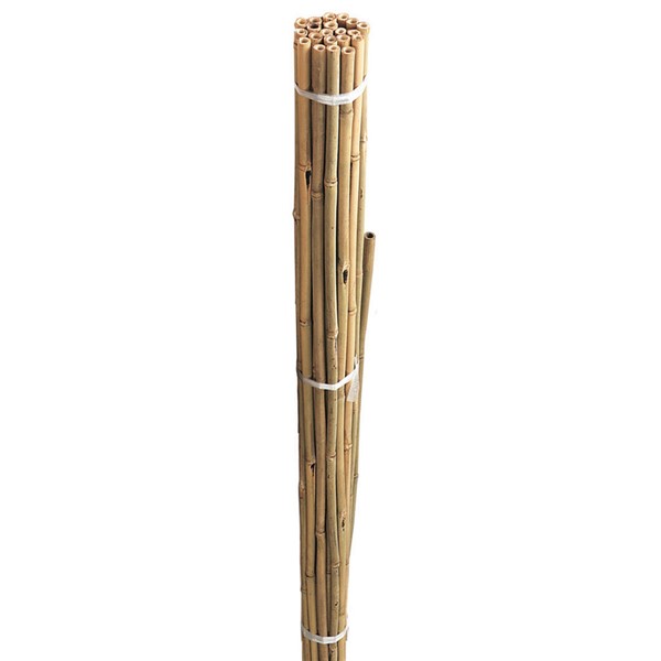 Bamboo Canes 90cm 3' 20pk