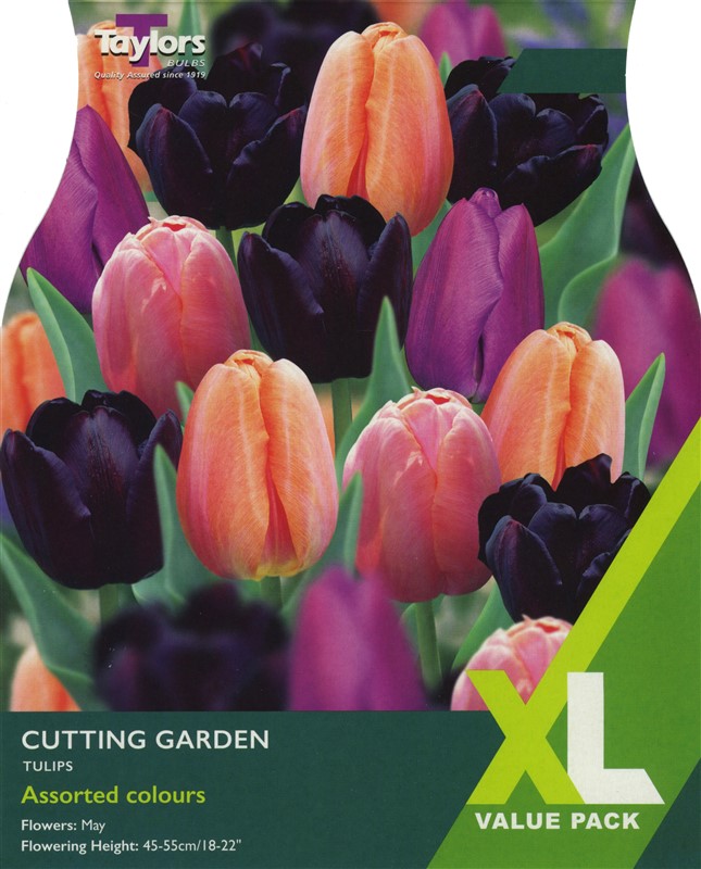 Tulip Cutting Garden 10-11