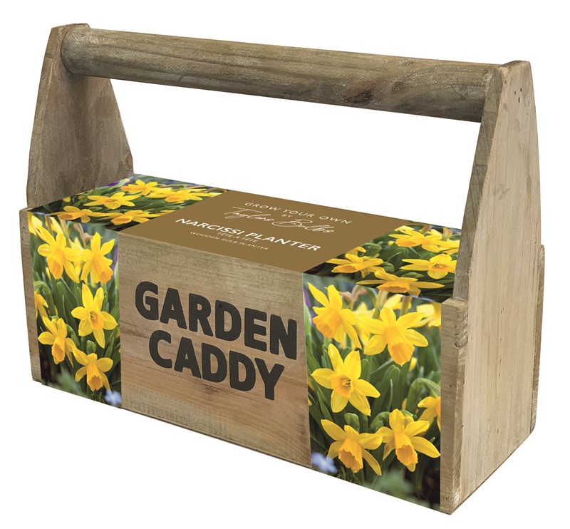 Wooden Narcissus Planter