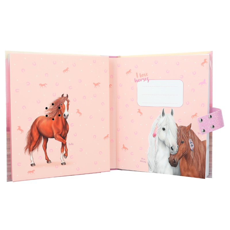 Miss Melody Diary With Code And Sound, Sundown