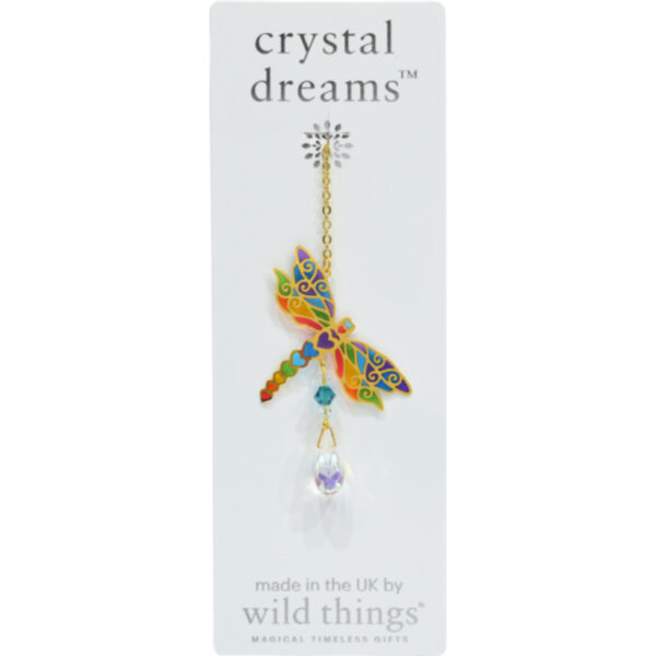 Crystal Dreams Dragonfly Rainbow