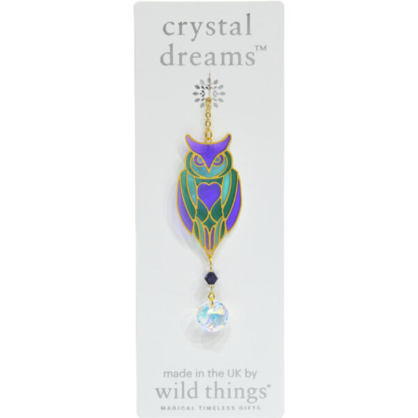 Crystal Dreams Owl Aurora