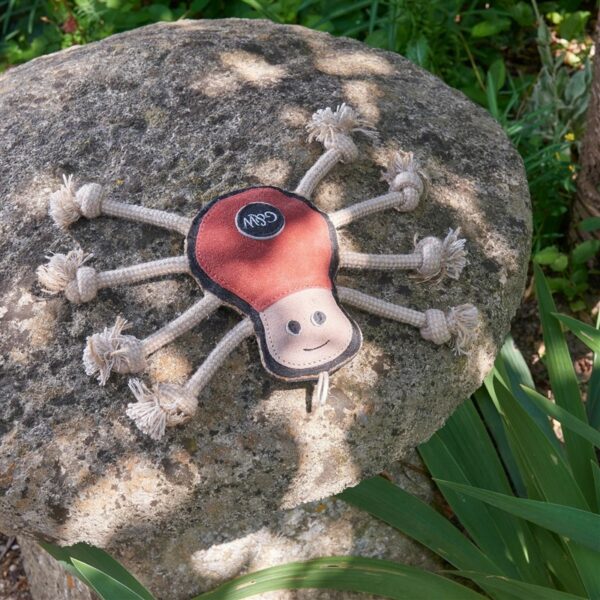 Spike the Spider
