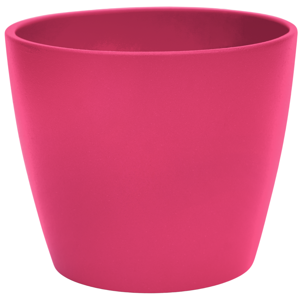 Cyclamen Planter Pink