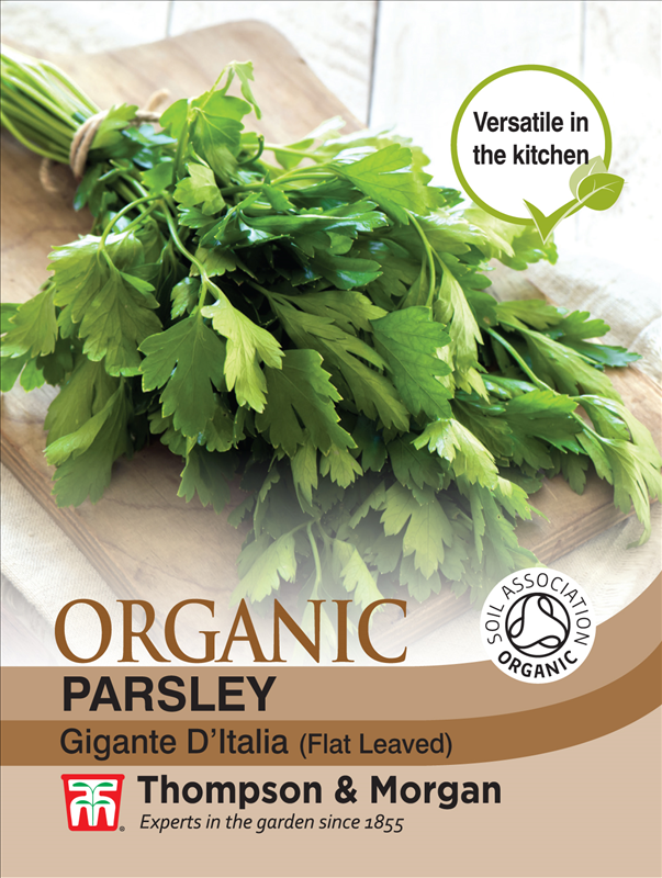 Herb Parsley Flat (Organic)