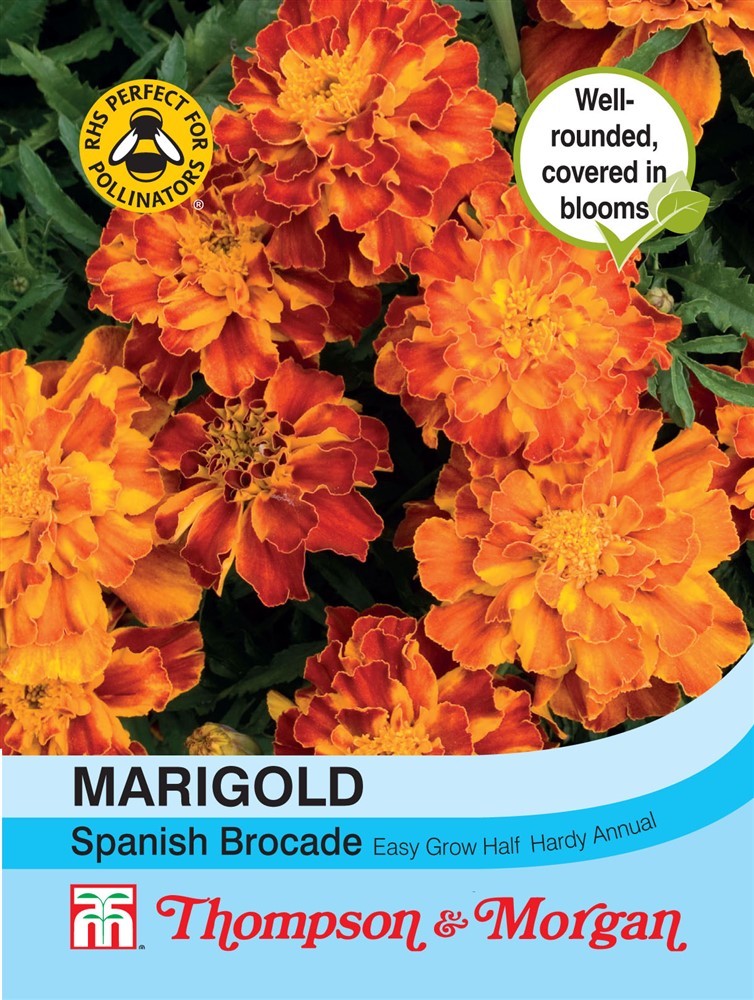 Marigold Spanish Brocade