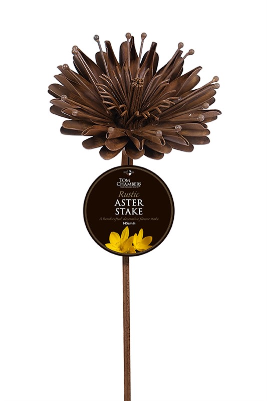 Rustic Aster Stake