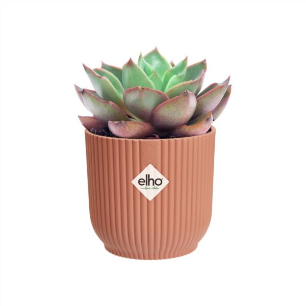 Vibes Pot 7cm Delicate Pink