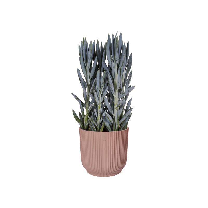 Vibes Pot 9cm Delicate Pink