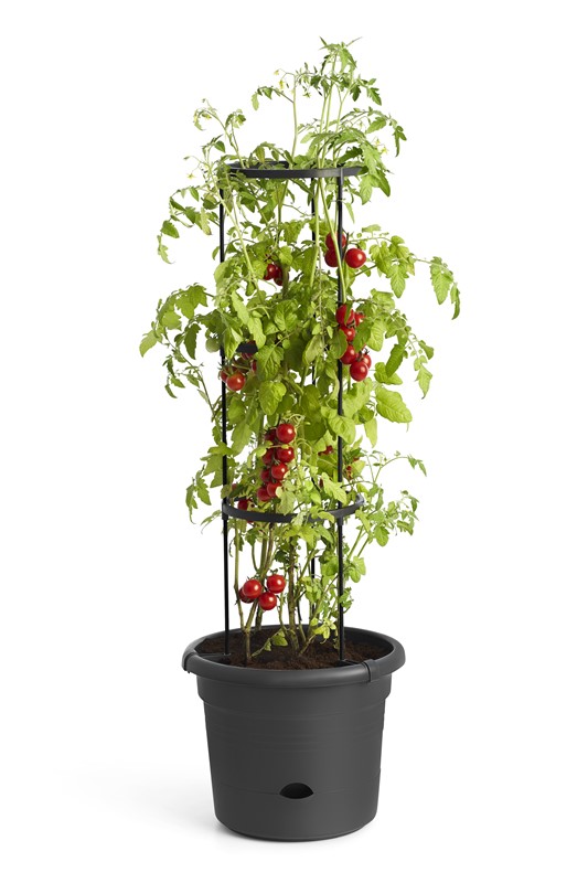 GB Tomato Pot 33cm