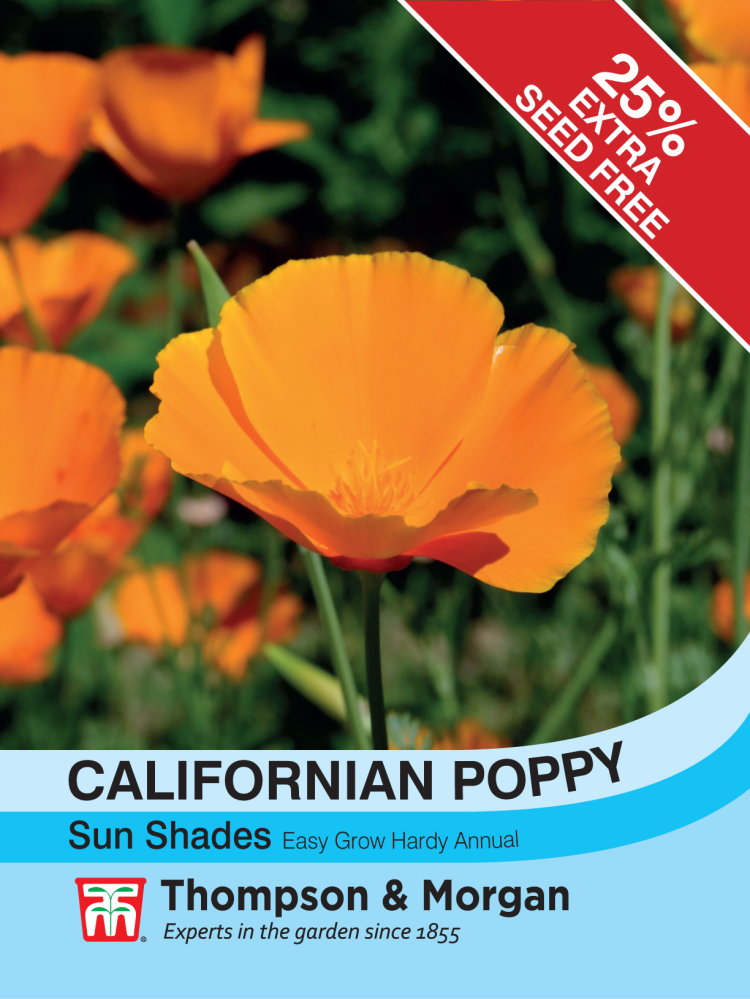 Californian Poppy Sun Shades