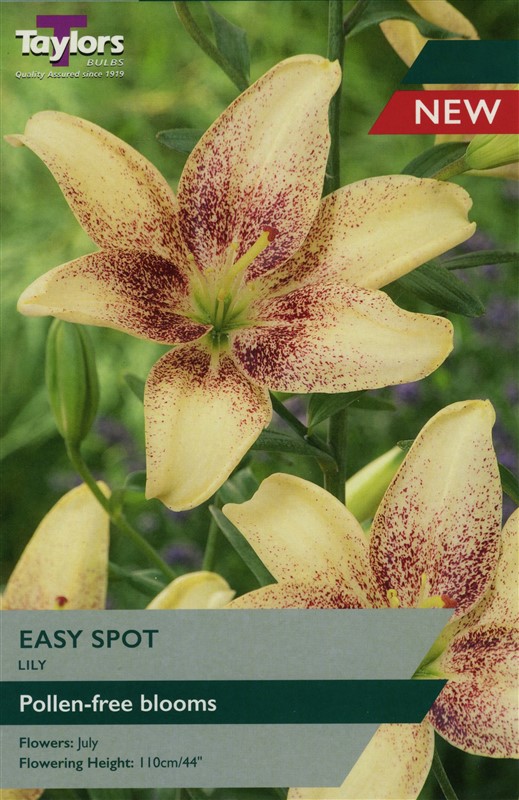 Lily Easy Spot Pre Pack