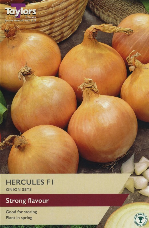 Onion Hercules Pre Pack