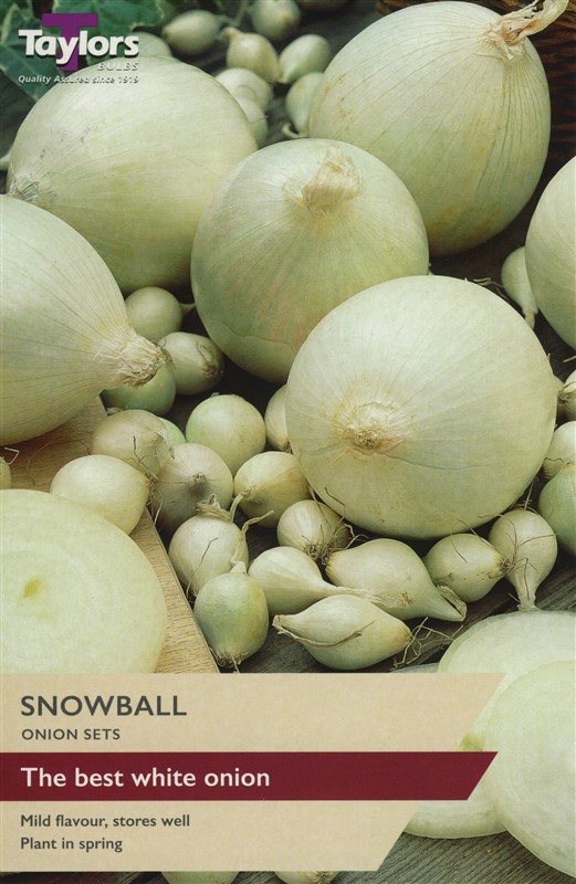 Onion Snowball Pre Pack