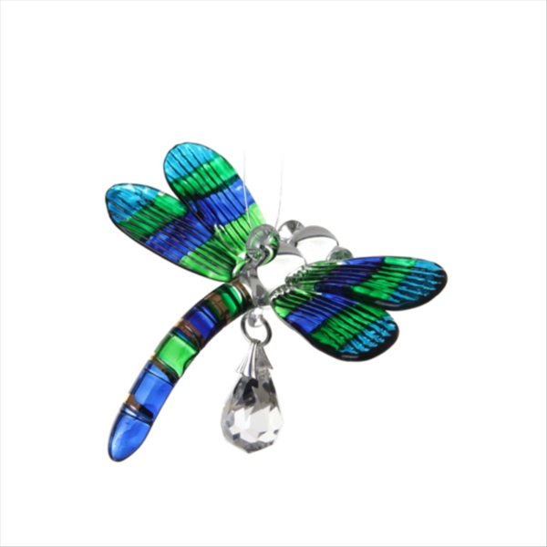 Glass Dragonfly Peacock