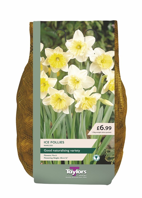Narcissi Ice Follies 1.5Kg