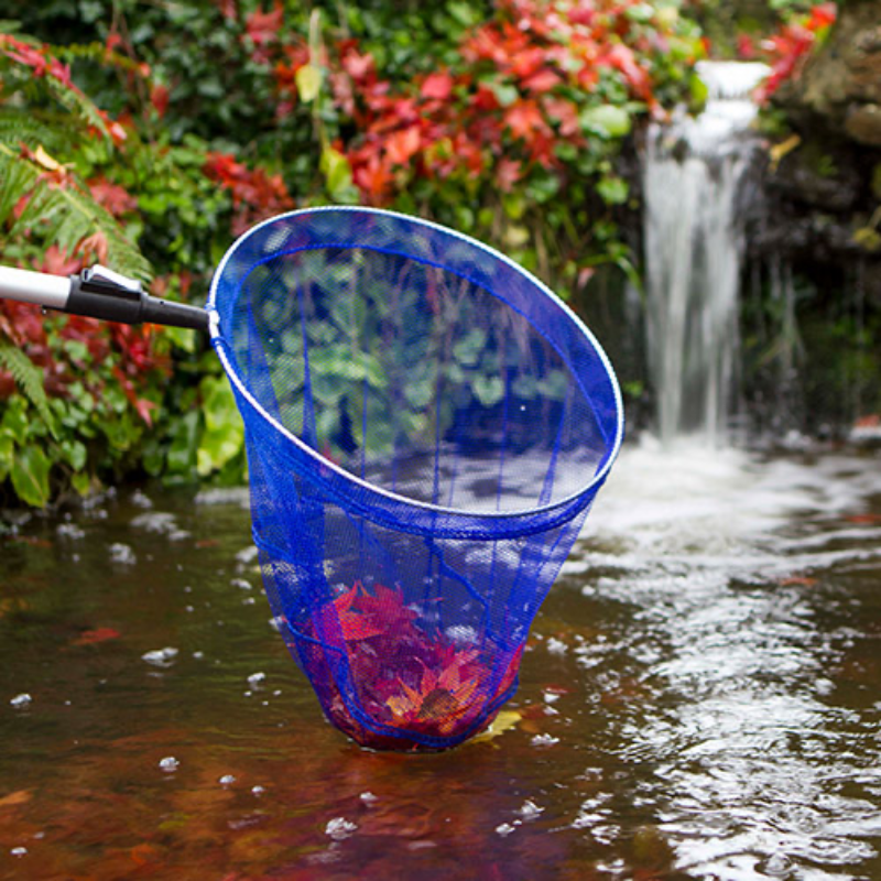 Pond Net